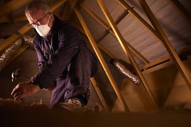 Best Spray Foam Insulation  in Ampere North, NJ